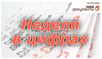 Порядка 23 700 заявлений принято сотрудниками МФЦ ЛНР за прошедшую неделю