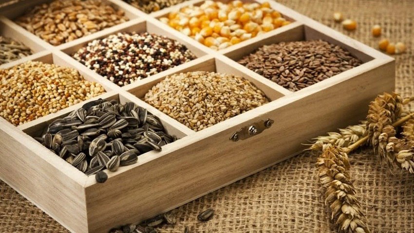 Правильное хранение семян — залог будущего урожая