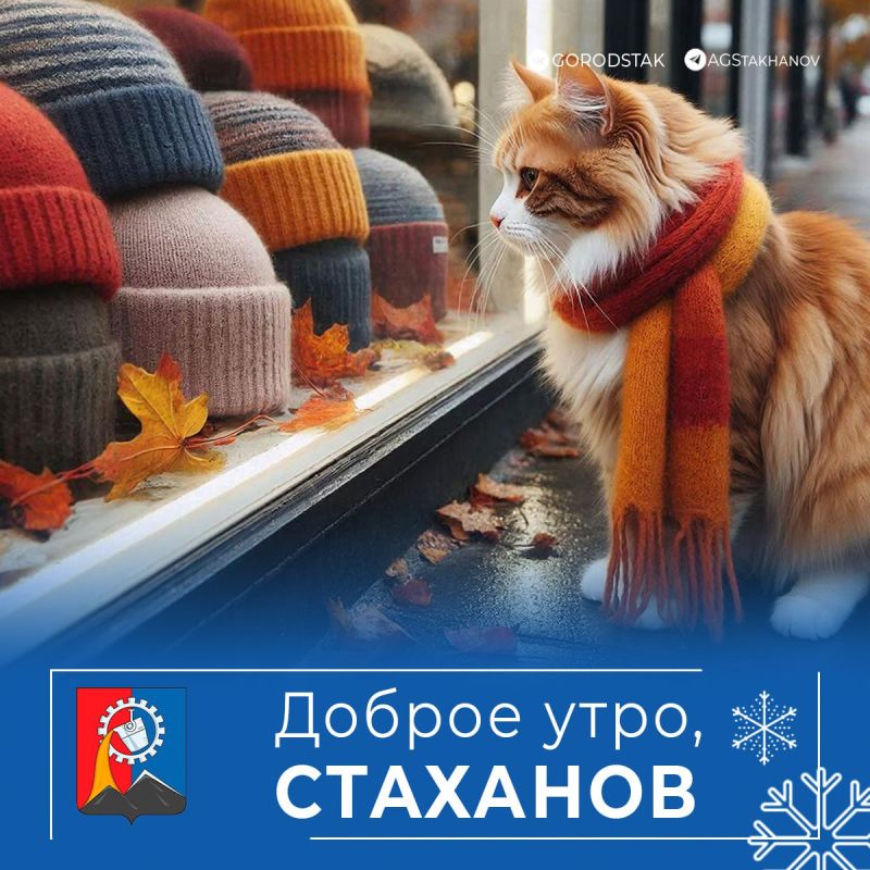 ������ ����, ������ �����!