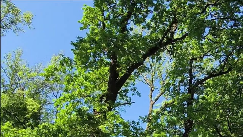 ������� ���������� ������ �������� ���������� ������� � ������� �������-����