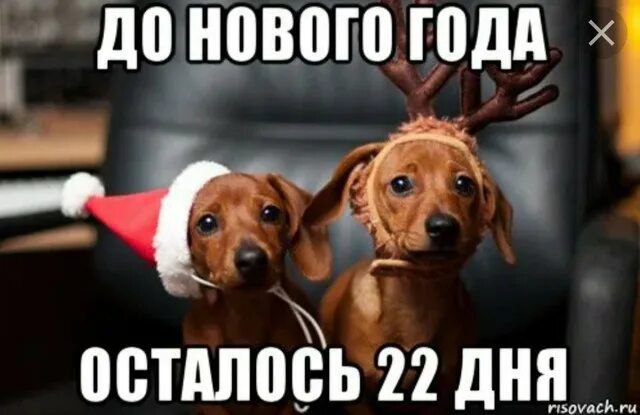 С ДОБРЫМ УТРОМ!. Сегодня 9 декабря, вторник