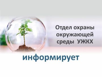 Администрация городского округа муниципальное образование городской округ город Красный Луч Луганской Народной Республики (далее – Администрация города) в соответствии с п.п. 7.4.1. Порядка вырубки (уничтожения), обрезки и...