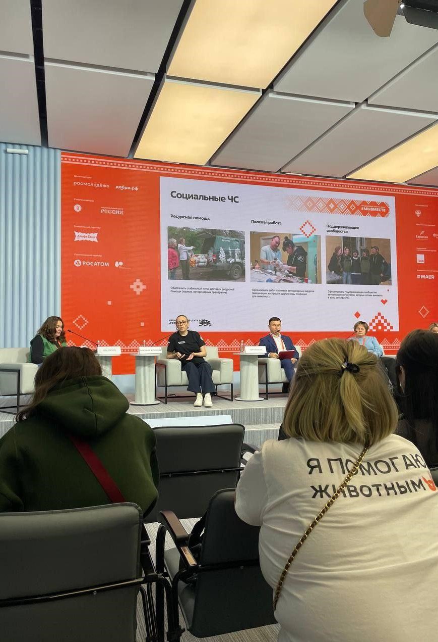 Ветеринары-волонтеры представили вице-премьеру Дмитрию Чернышенко свою работу в прифронтовых территориях