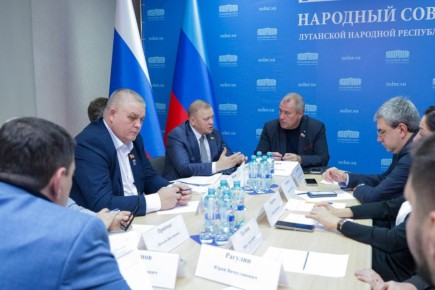 В Комитете по информационной политике обсудили развитие поддержки НКО в ЛНР