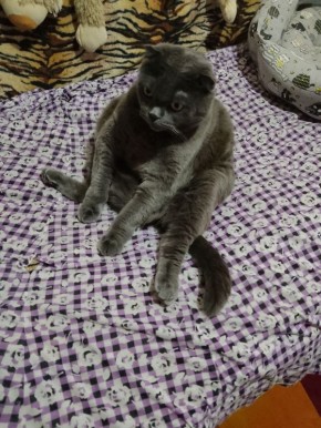 10 декабря на территории Луганской Народной Республики будет облачно с прояснениями