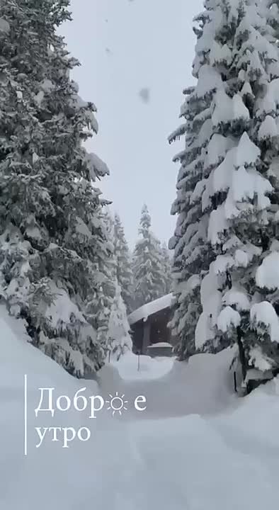 С добрым зимним утром, жители Новоайдарского округа! Всем отличного настроения и хорошего дня!