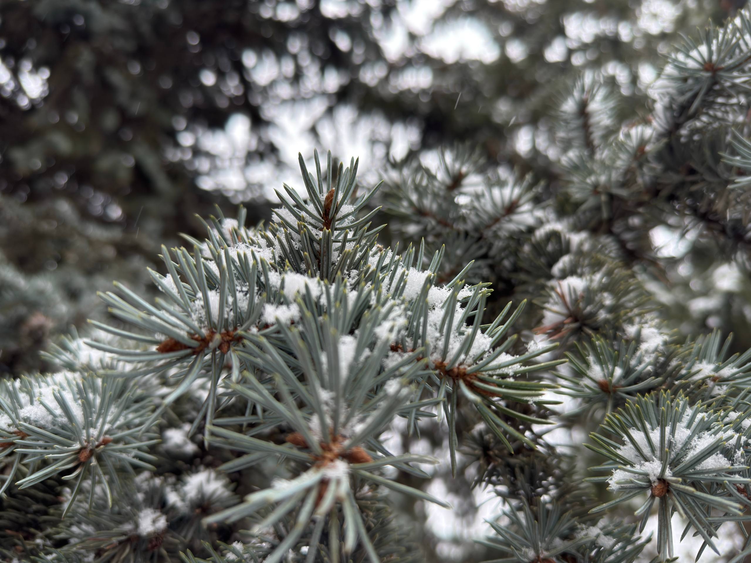 С добрым утром, жители Марковского муниципального округа!