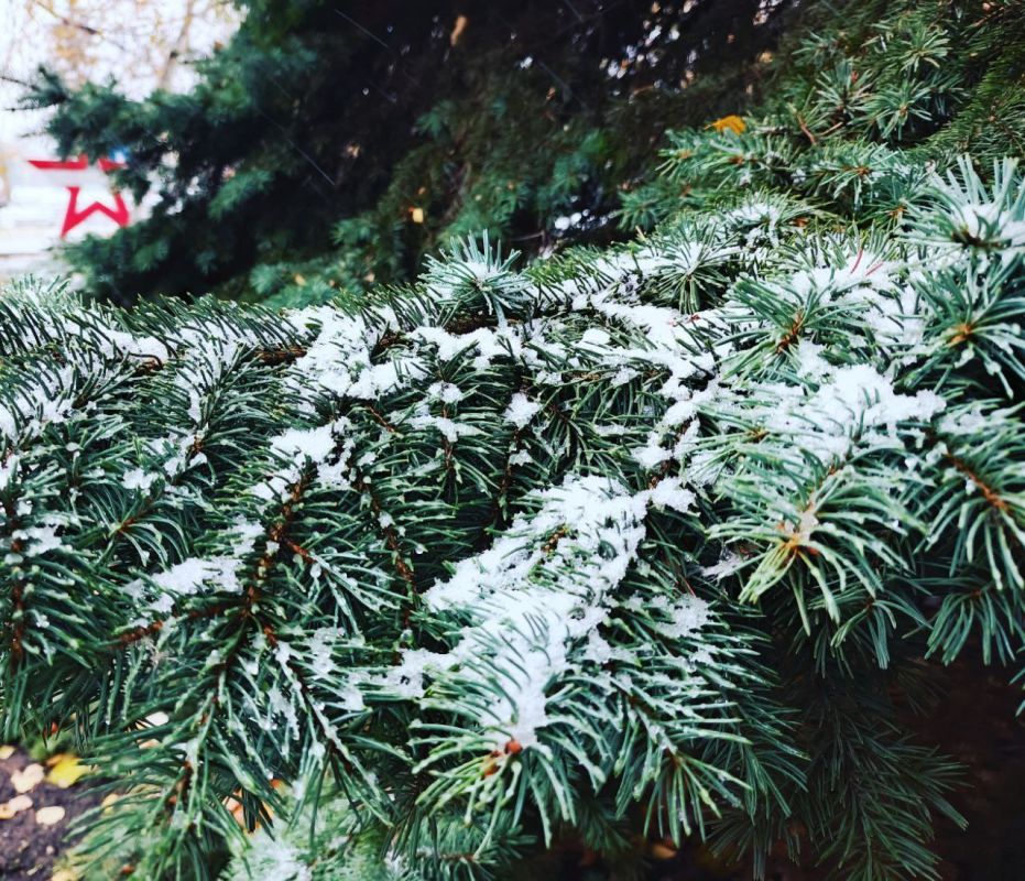 С добрым утром, кировчане!