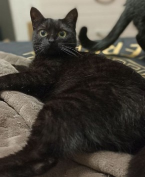 12 декабря на территории Луганской Народной Республики будет облачно с прояснениями