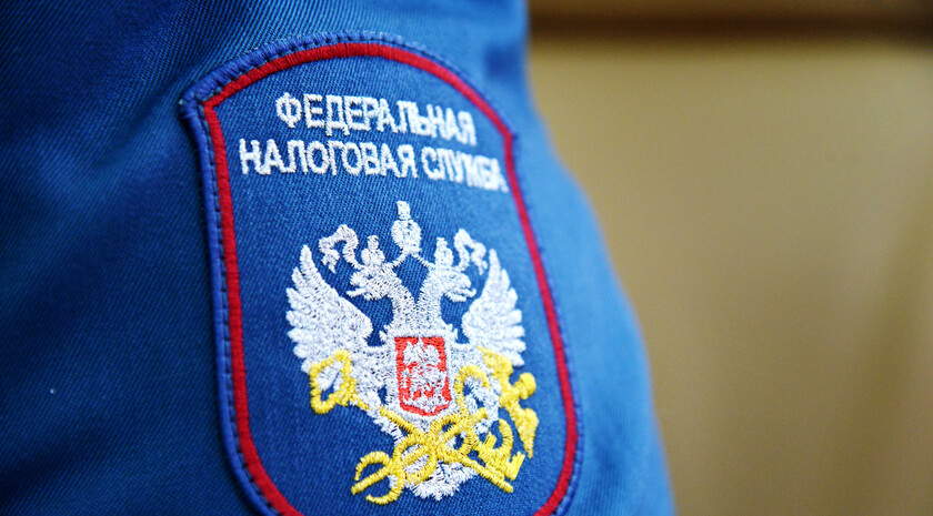 Оформление самозанятости станет доступным в Запорожской области в 2026 году