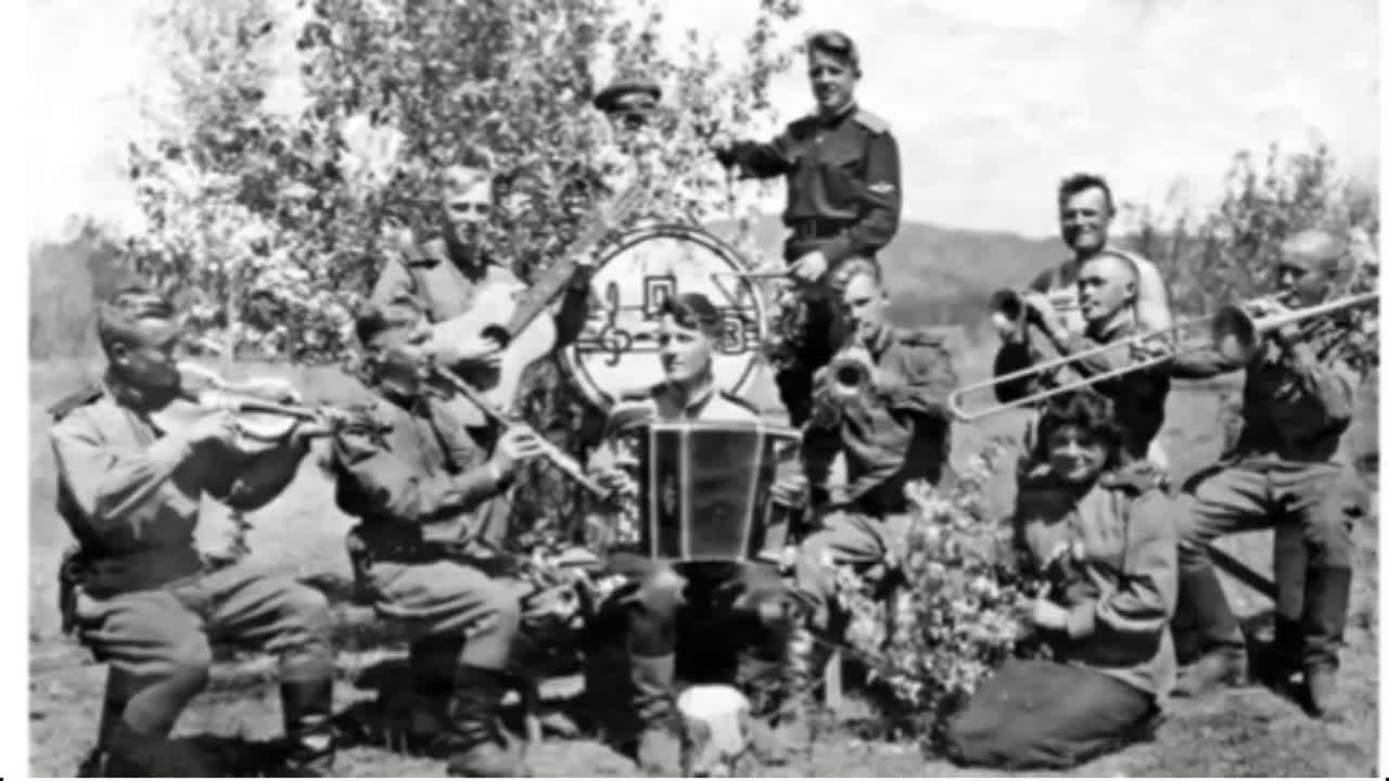 "Музыка и волшебство Шаинского"