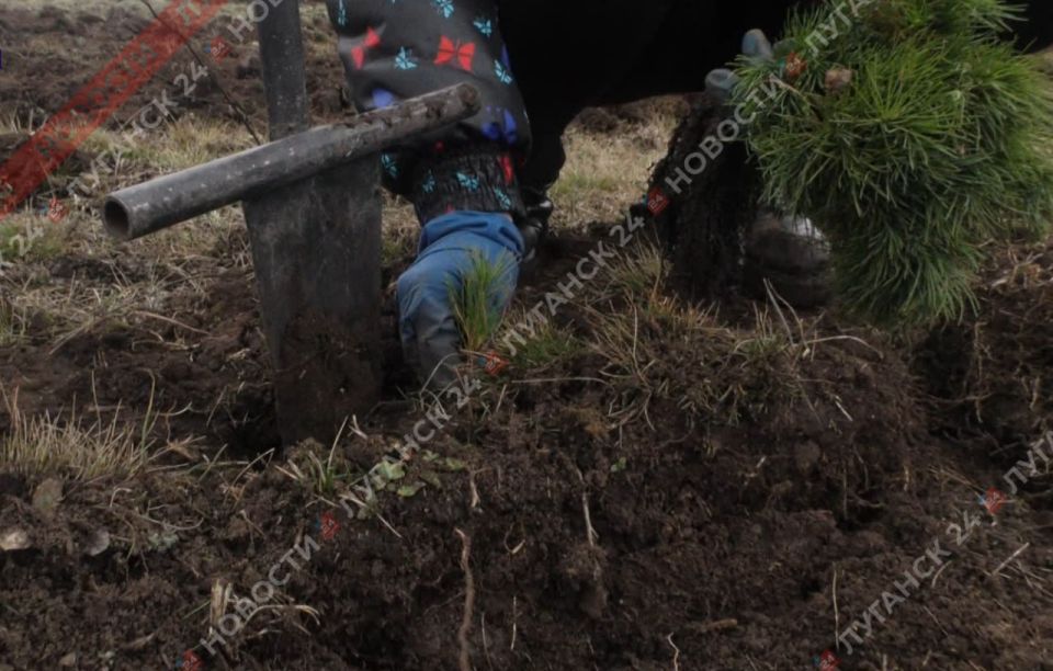 �������� �� �������� ������ ��������� �������� � �������� ���