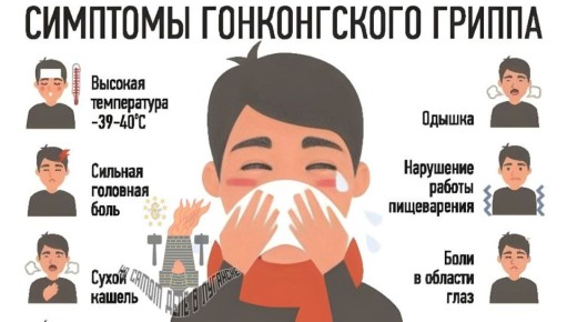 В ЛНР продолжают диагностировать «гонконгский» грипп