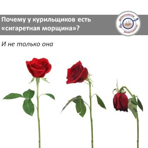 Продолжаем наш цикл о том, как курение влияет на здоровье и внешность