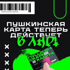 В ЛНР заработала Пушкинская карта