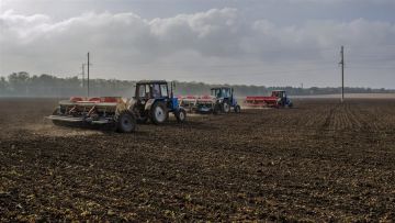 Евгений Бондарь: В округе завершается цикл осеннеполевых работ