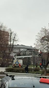 Новый год близко: коммунальщики украшают сквер имени Героев «Молодой гвардии» к новогодним праздникам