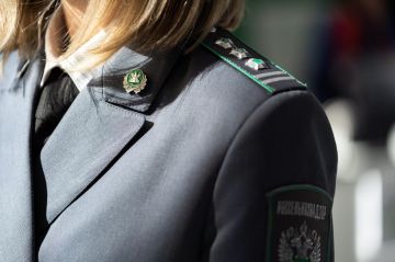 Обеспечение фитосанитарной безопасности: итоги года в ЛНР