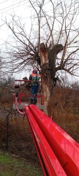 В ходе Прямой линии Главы Луганской Народной Республики жительницей Краснодона был затронут вопрос безопасности объектов энергоснабжения на территории округа, а именно — обрезки дерева, находящегося в непосредственной...