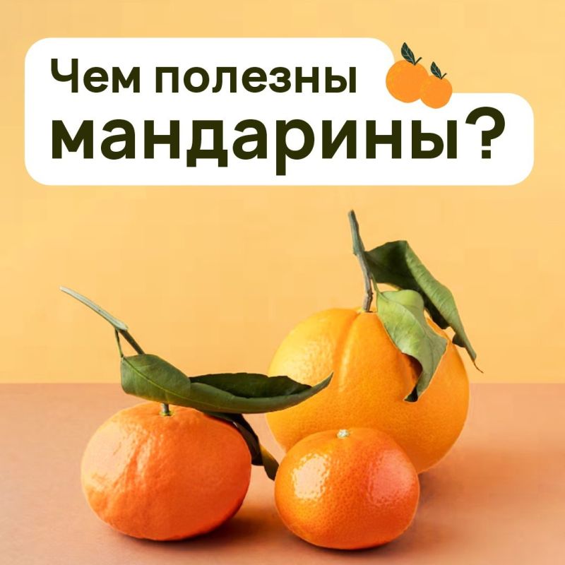 ���������: ���������� ���������