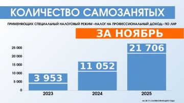 За год в ЛНР вдвое увеличилось число самозанятых, выбравших льготный налоговый режим