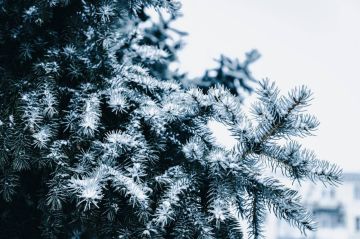 Синоптики прогнозируют в течение суток 13 декабря в ЛНР от 5 градусов мороза до нуля, местами ожидается снег, мокрый снег, туман и метель