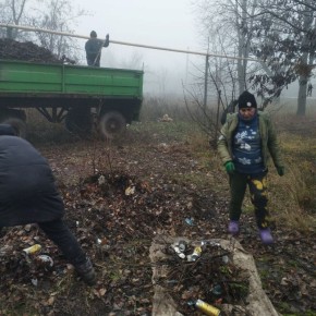 Уборка придомовой территории включает в себя комплекс мероприятий, направленных на поддержание чистоты и порядка вокруг жилого дома