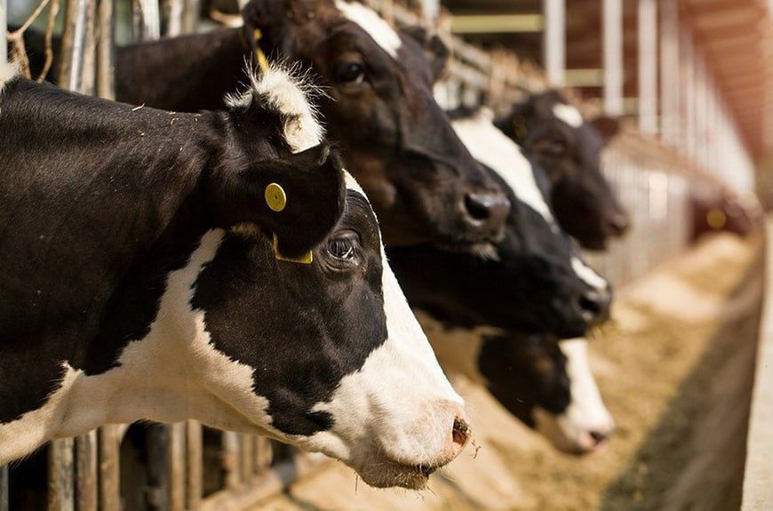 ������ �������: ������������� ��� �������� ������ ����������� ��������� ����� �� ������� � ��������� ������������� ����