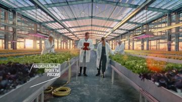 Подобрать вакансию и выйти на работу любому соискателю помогают в кадровых центрах «Работа России»