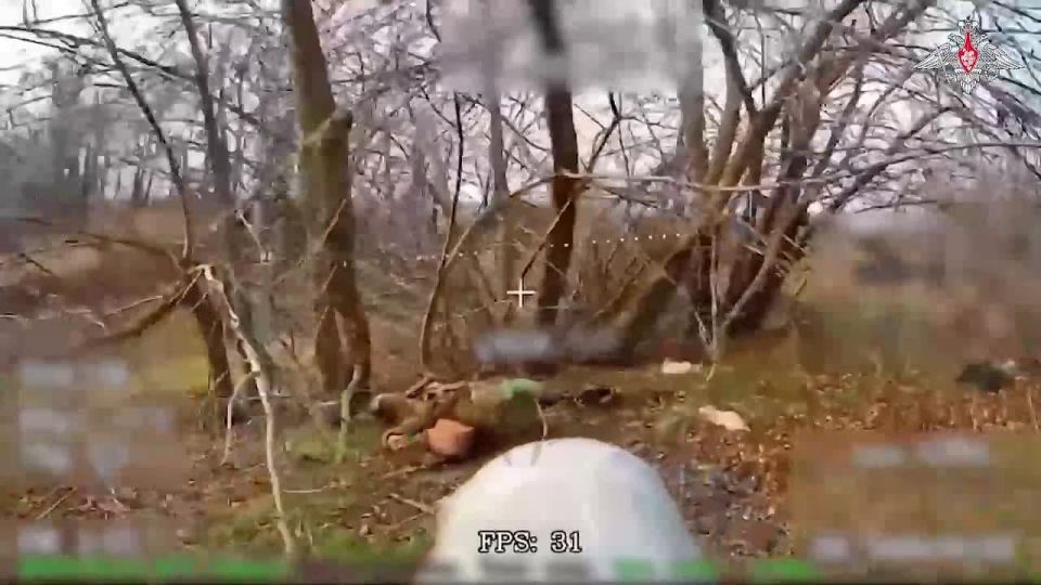 ����������� ������ ��������� ������������� ���������� ��������, � ����� �������� �������� ����������� ����������� �������� ��� � ���� ���������� ����������� ������� ��������