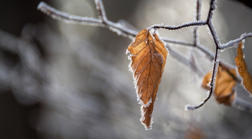 Синоптики прогнозируют 14 декабря в ЛНР до 8 градусов мороза, местами пройдет снег