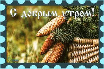 С добрым утром декабря!. Время проснуться и начать новый день!