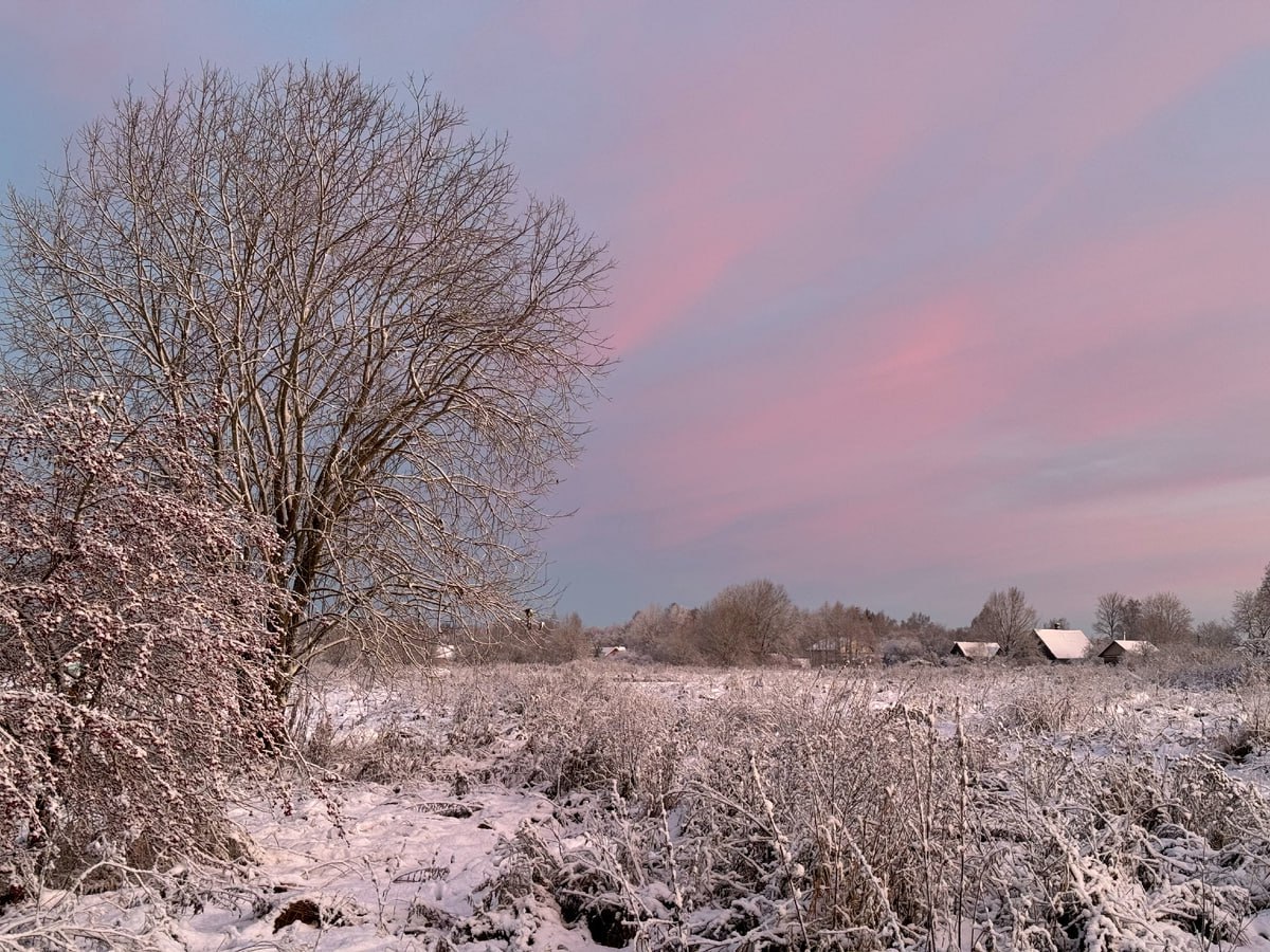Доброе морозное утро! Воскресенье, 14 декабря