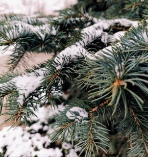 С добрым утром, кировчане!