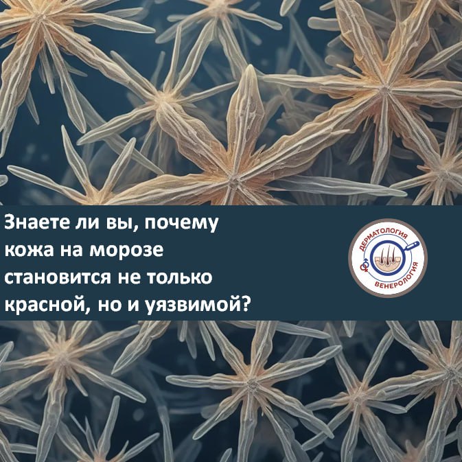 Мы привыкли, что зимой кожа страдает от сухости и обветривания