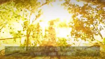 Служба Родине – это выбор сильных!