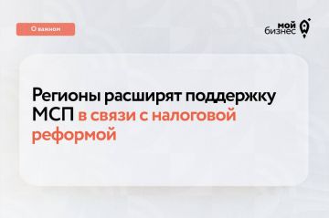 Новые программы поддержки для МСП: помощь в адаптации к налоговым изменениям