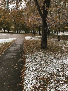 Доброе утро! Отличного дня всем!