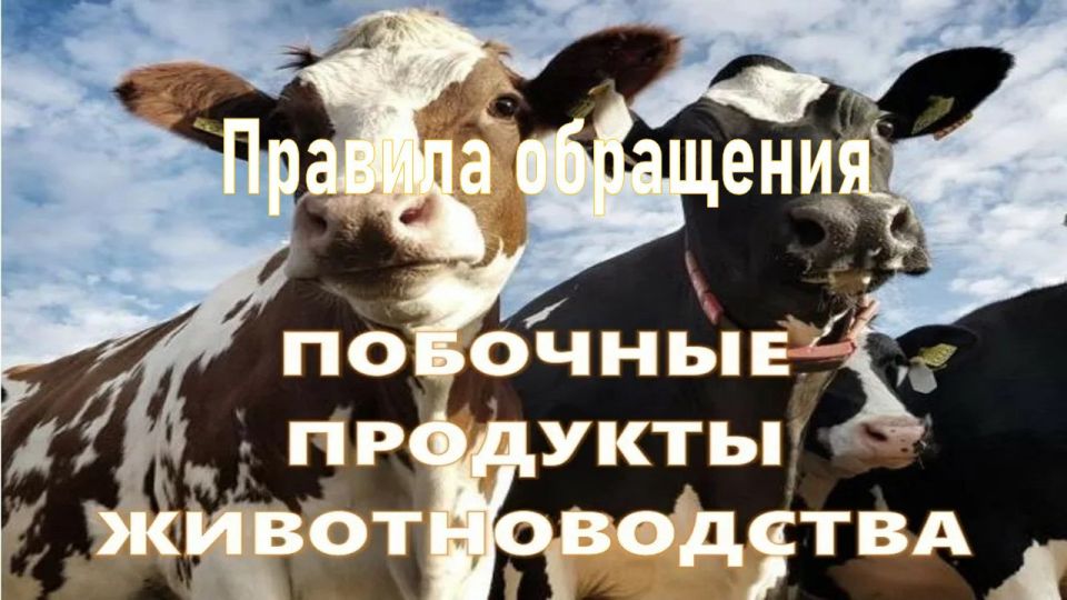 �������� ���������������������: ����� ������� ��������� � ��������� ���������� �������������� (���)