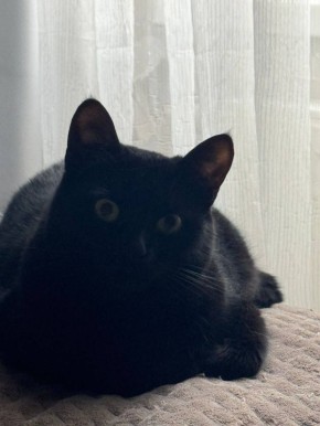 15 декабря на территории Луганской Народной Республики прогнозируется переменная облачность