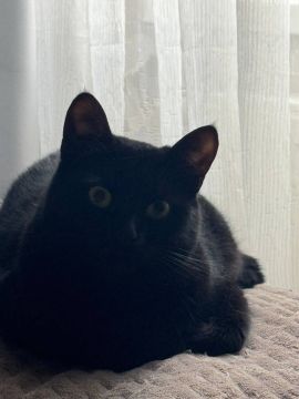 15 декабря на территории Луганской Народной Республики прогнозируется переменная облачность