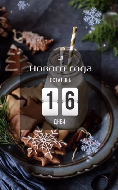� ������ �����!. ������� 15 �������, �����������