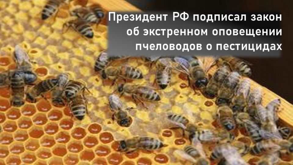 ���������� �� �������: ����� ����� �� ���������� � ���������� � ���������� ���������