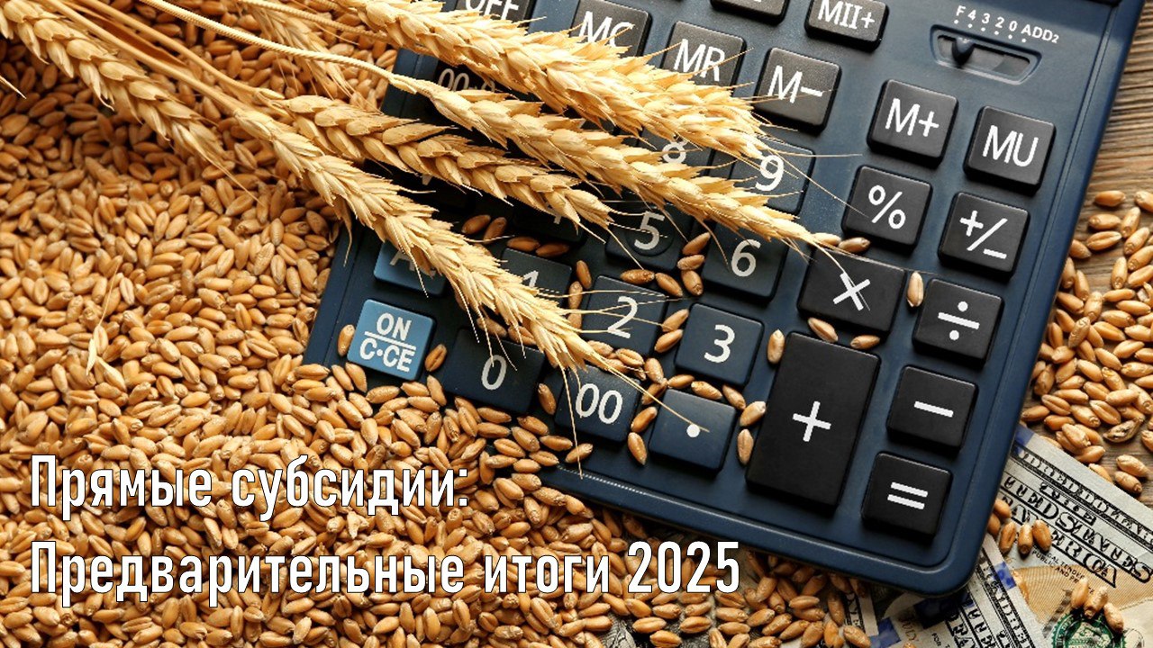 Господдержка аграриев: итоги 2025 года