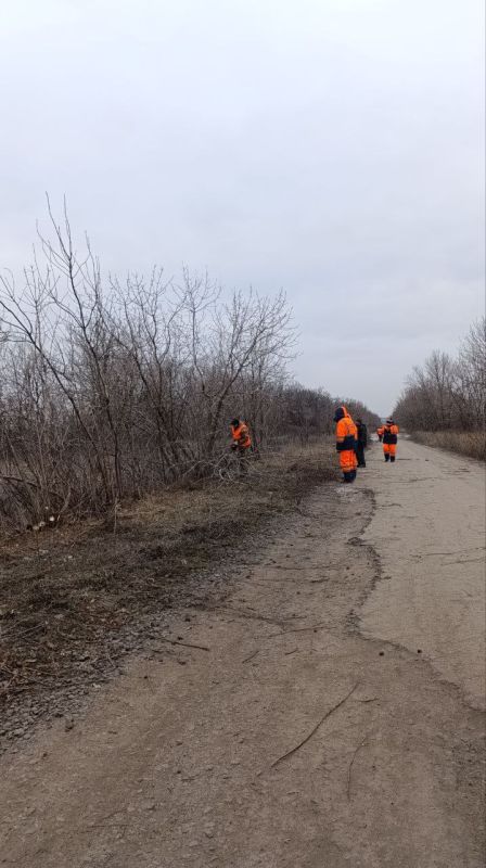 ������ ��������: ������ �� ��������������� ������� ���������� ������ ����� �������� ������������