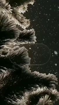 ������ � ������ ����, ������ �������������� ������!