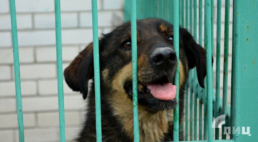 ����� ��������� ����� �������� � ������ ������� � ������� ���������� � ������� � �������