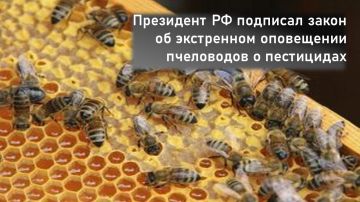 ���������� �� �������: ����� ����� �� ���������� � ���������� � ���������� ���������