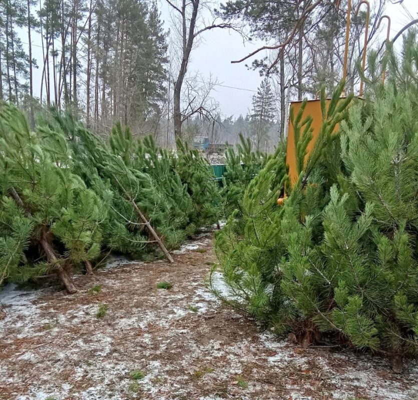 ������������� ��������� ���������� ������ ��������� � ���������� ���������� ��������