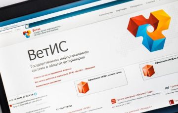 ���������������� ���������� �������� � ��������� ������������ ����� ����� ���������